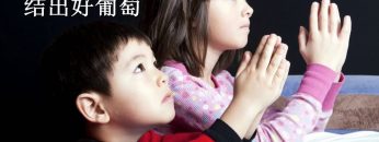 【结出好葡萄 11】 教孩子祷告
